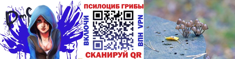 Галлюциногенные грибы Psilocybe  Купить где  Похвистнево 